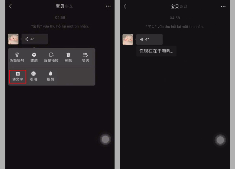 Nhấn giữ lại đoạn thoại vừa gửi, sau đó chọn 转文字