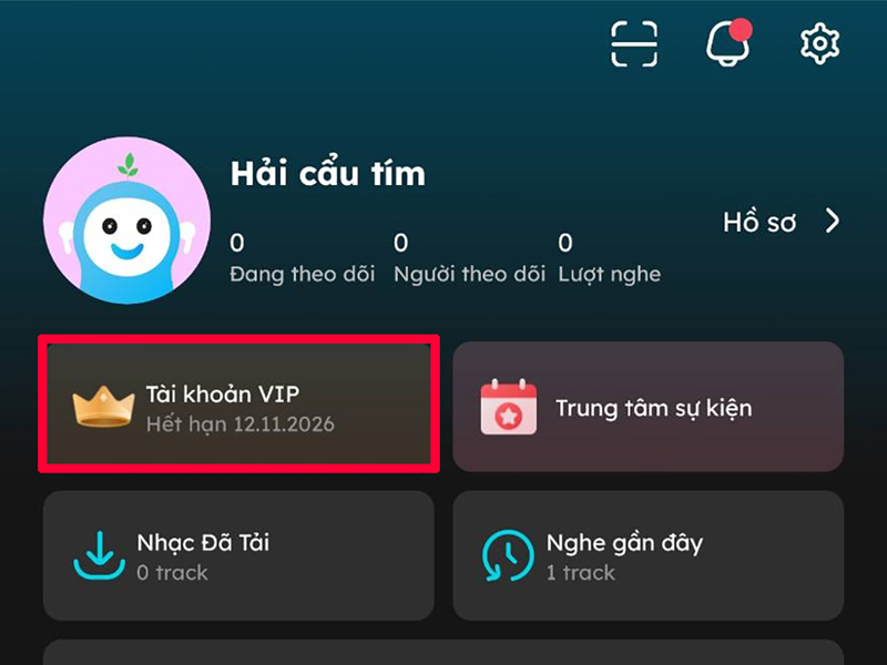 Kiểm tra tài khoản VIP sau khi nhận
