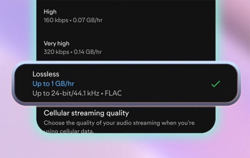 Lợi ích của Lossless Spotify