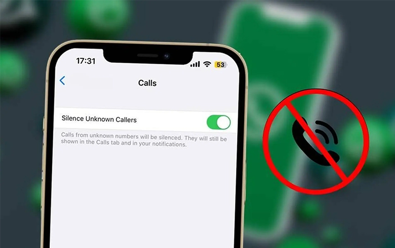 Nguyên nhân nào khiến iPhone bị tắt tiếng cuộc gọi?