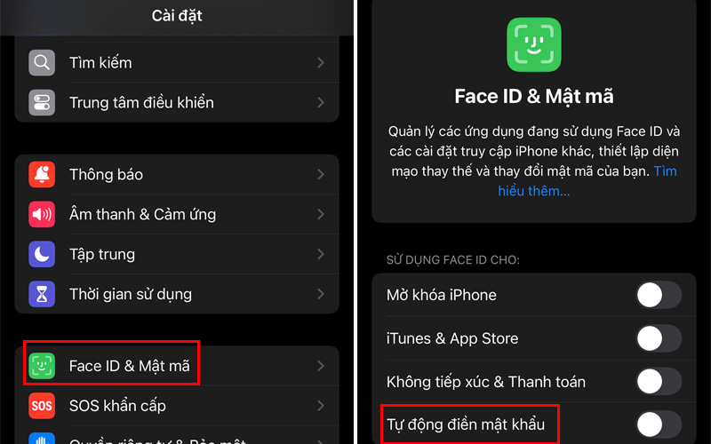 Bật Tự động điền mật khẩu trong Face ID & Mật mã