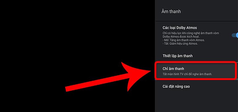 Chọn vào “Chỉ âm thanh” và chọn “OK”