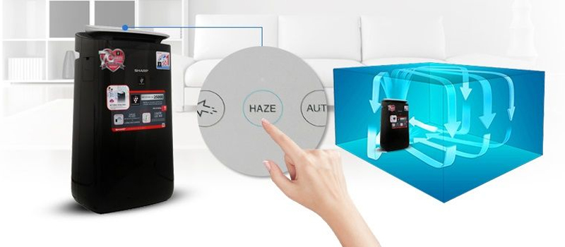 Chế độ lọc Haze tự động phân tích chất lượng không khí xung quanh