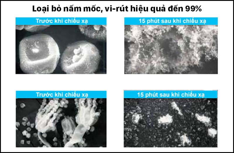 Công nghệ Streamer có khả năng vô hiệu hóa virus