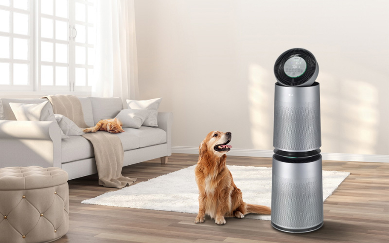 Máy lọc không khí LG phát ra tiếng ồn đột ngột
