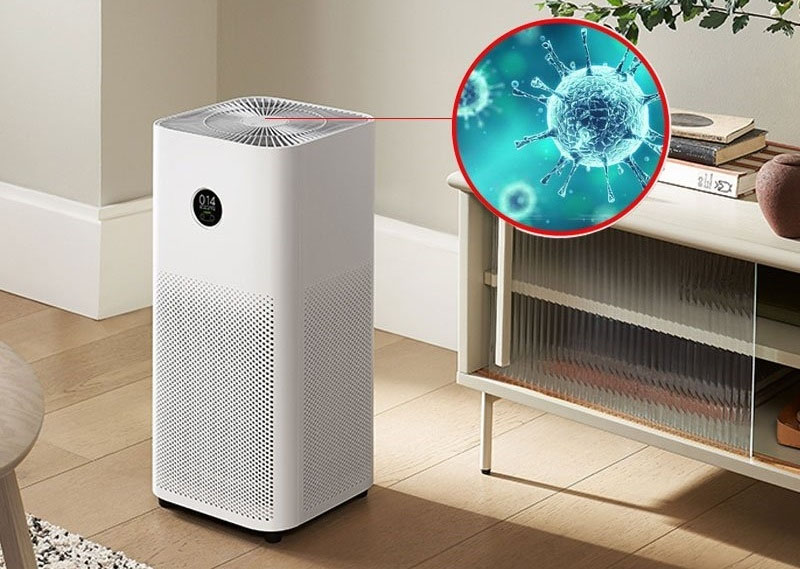 Máy lọc không khí Coway có mùi hôi do tích tụ bụi bẩn lâu ngày