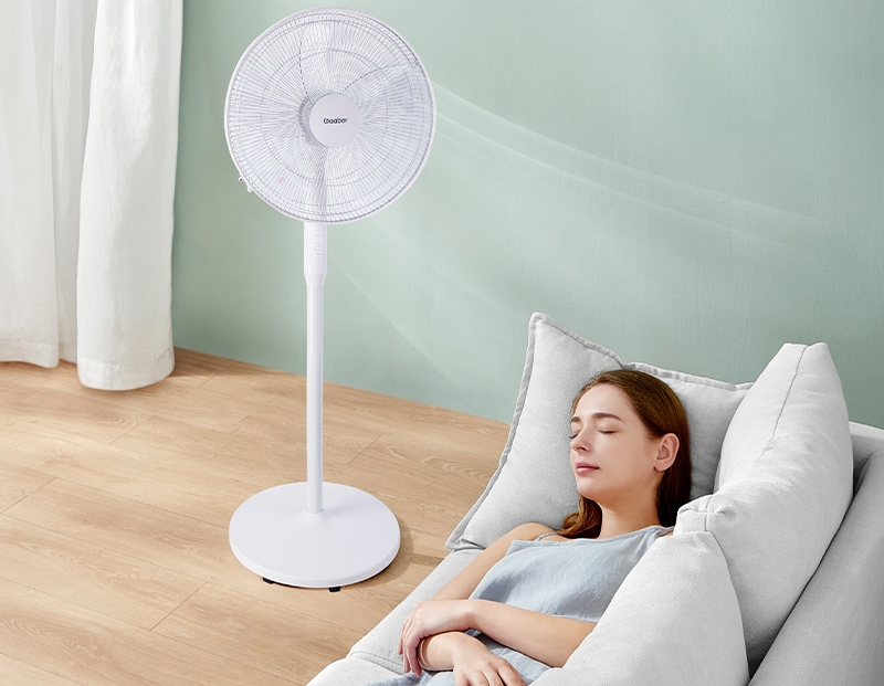 Quạt điện hỗ trợ đuổi muỗi và côn trùng