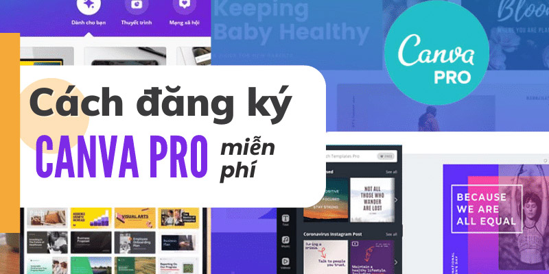 Dùng thử Canva Pro miễn phí 