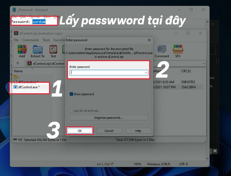 Nhập Password là sordum và nhấn OK