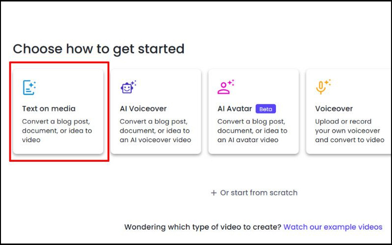 Chọn Text on media và nhập ý tưởng kịch bản