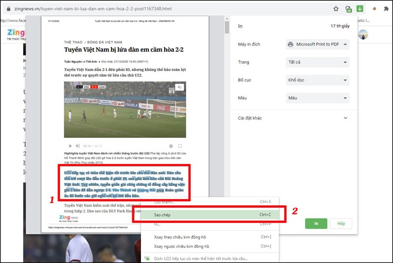 Copy trang web không cho copy bằng tính năng in