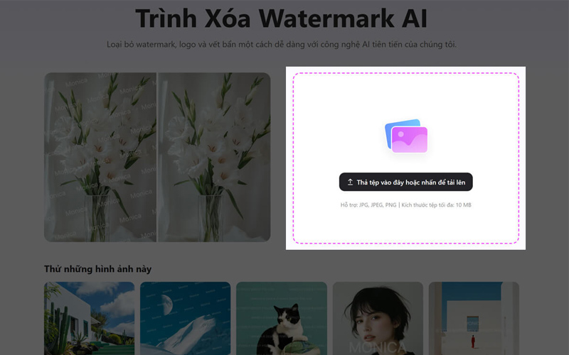 Cách xóa watermark bằng Monica AI