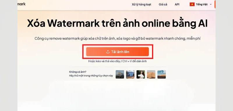 Cách xóa watermark bằng Dewatermark AI