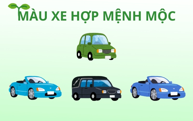 Người mệnh Mộc hợp với các màu xanh lá, xanh dương, xanh da trời và đen