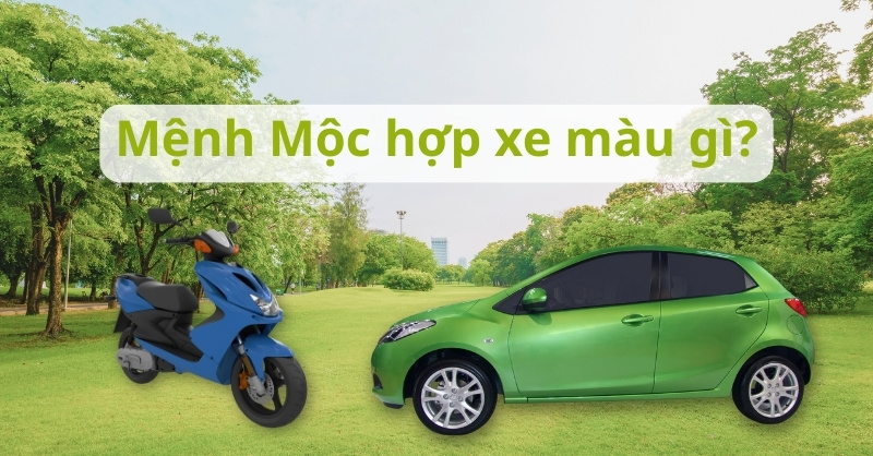 Người mệnh Mộc hợp xe màu gì?