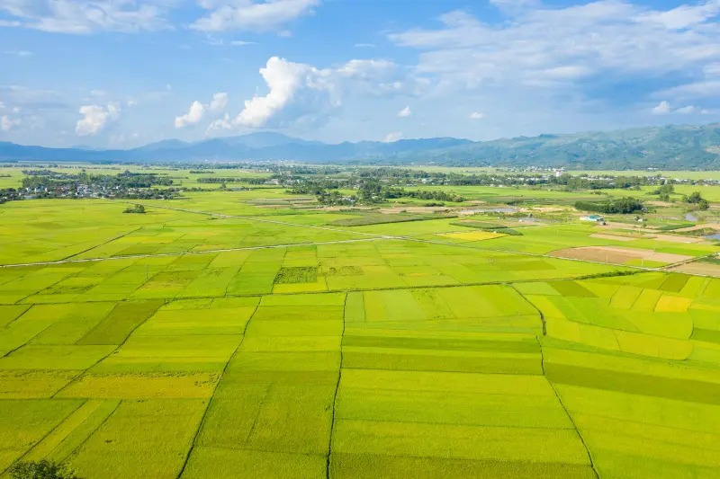 Sao Bát Tọa tại cung Điền Trạch