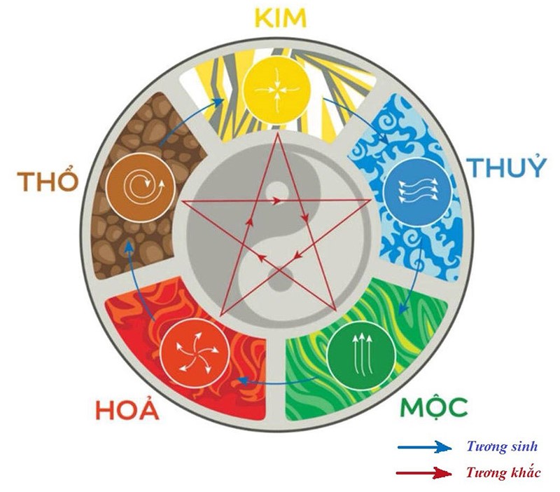 Trong hợp có sinh của lục hợp