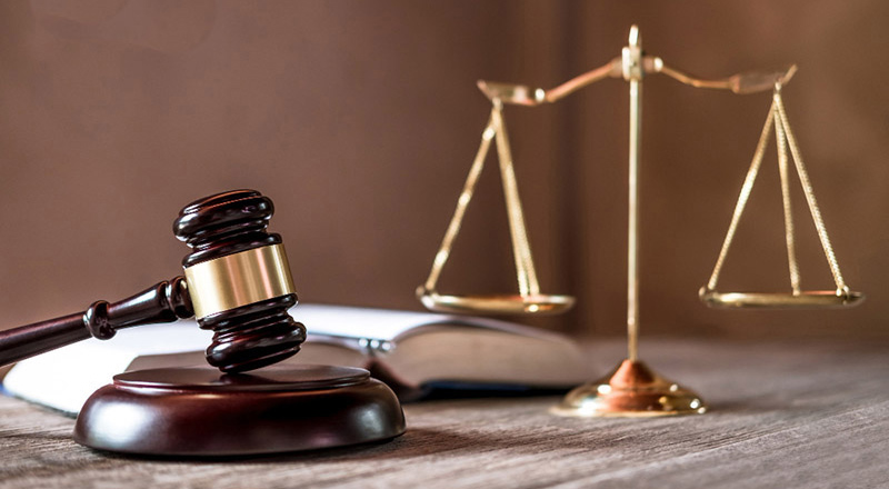 Ngành Luật có thu nhập cao và giàu tiềm năng phát triển