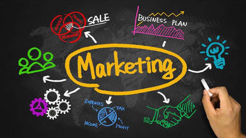 Ngành Marketing và Truyền thông đề cao khả năng quan sát