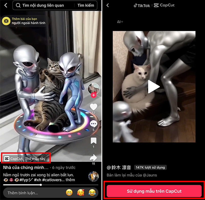 Tìm mẫu video trên TikTok