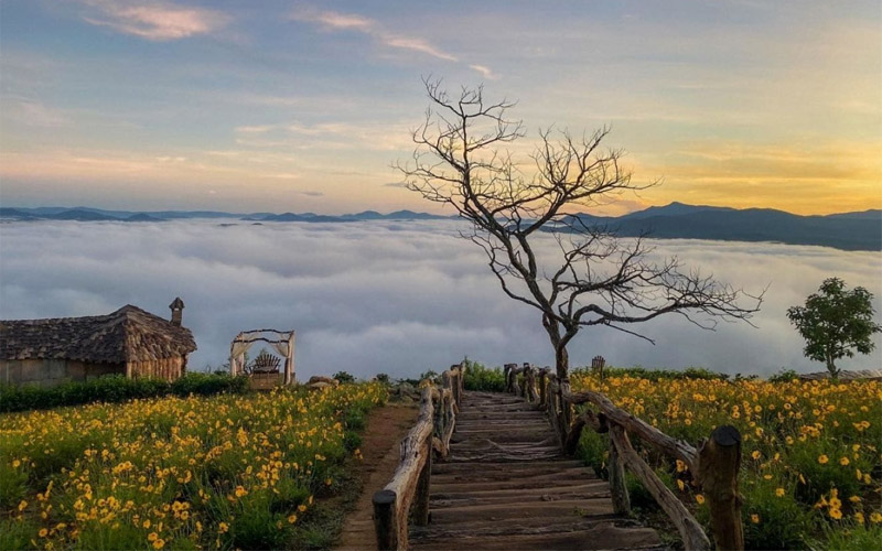 Mùa đông là mùa du lịch Đà Lạt vô cùng lý tưởng