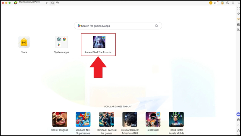 Nhấn vào biểu tượng game trên màn hình chính của BlueStacks