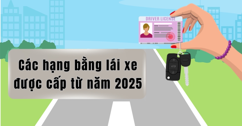 Các hạng bằng lái xe sẽ được cấp từ năm 2025