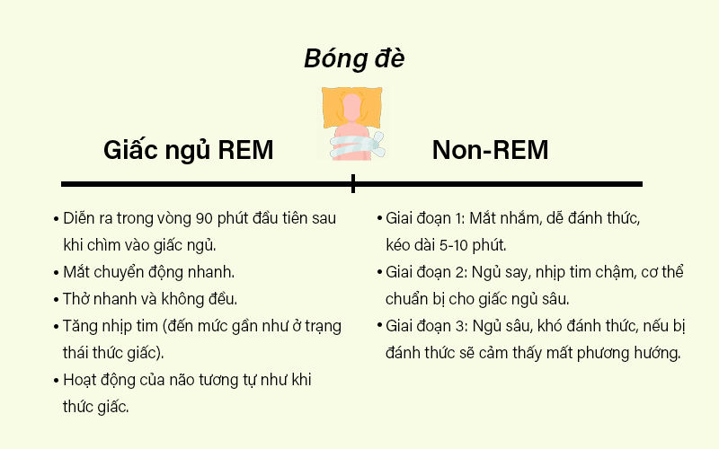 Mắc kẹt giữa giấc ngủ REM và non-REM