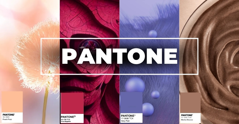 Pantone là gì? Hệ màu Pantone là gì?