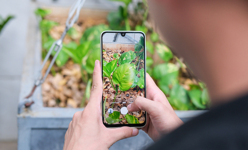 So sánh Galaxy A16 5G và Galaxy A15 5G về camera