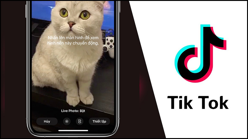 Cài video TikTok làm hình nền giúp người dùng cá nhân hóa trải nghiệm