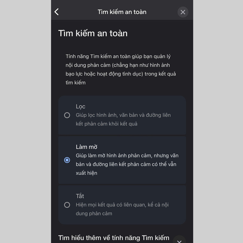 Các tùy chọn của tính năng Tìm kiếm an toàn trên Google