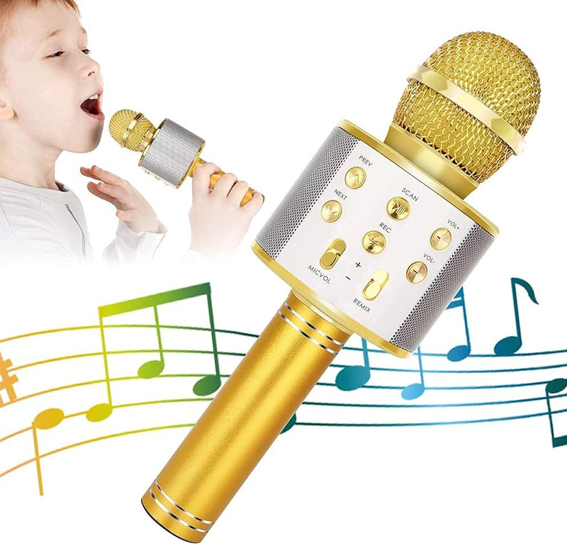 Sử dụng micro kèm loa mini khi karaoke