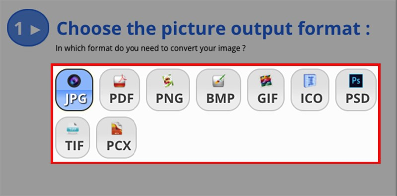 Tại mục “Choose the picture output format”, bạn lựa chọn định dạng ảnh