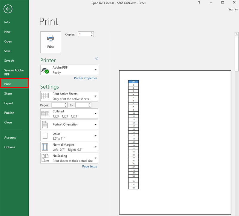 Nhấn tổ hợp phím Ctrl + P hoặc chọn File > Print