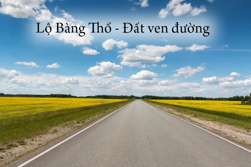 Sinh năm 1991 mệnh Lộ Bàng Thổ