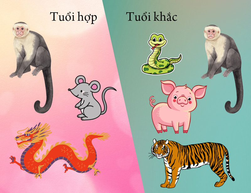 Tuổi hợp và khắc tuổi Thân