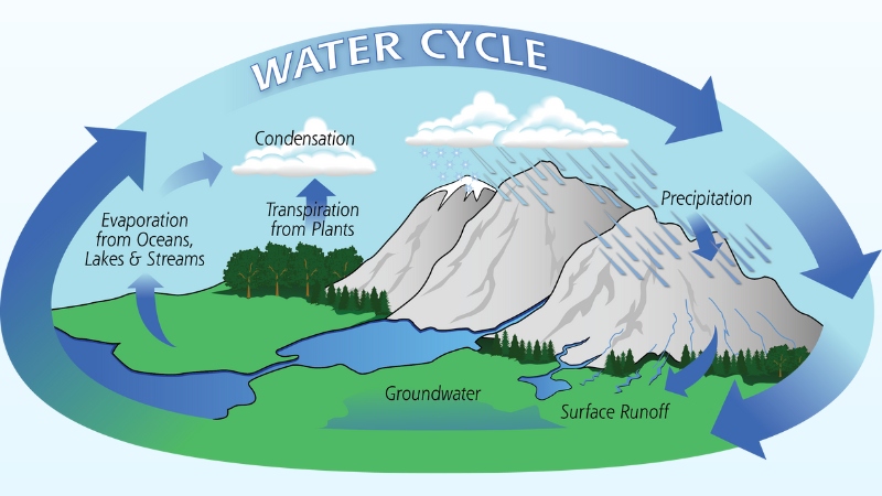 Vòng tuần hoàn của nước