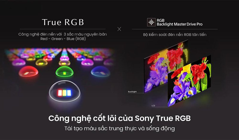 Công nghệ cốt lõi của Sony True RGB tái tạo màu sắc trung thực và sống động