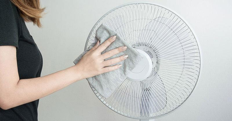 Dễ dàng làm sạch quạt cây
