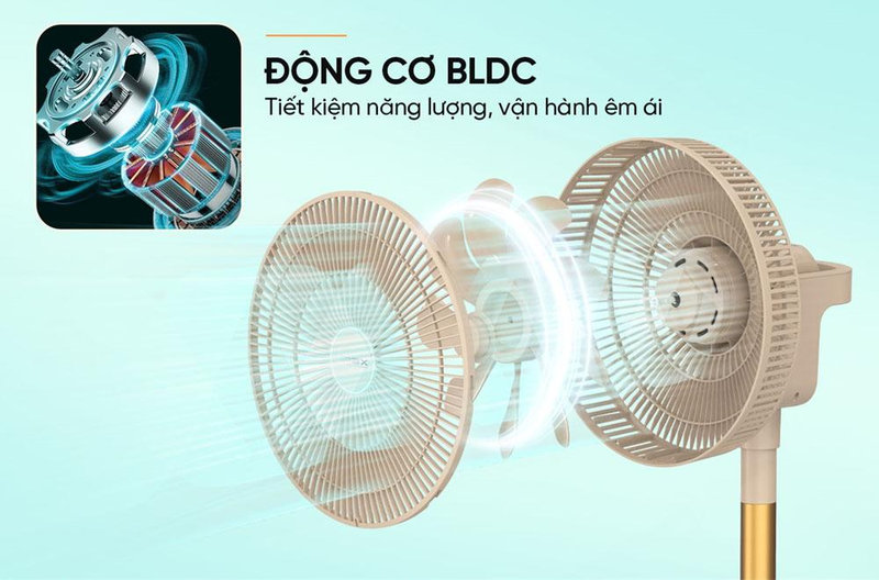 Động cơ chất lượng cao giúp quạt tuần hoàn vận hành ổn định, bền bỉ và hạn chế tiếng ồn.