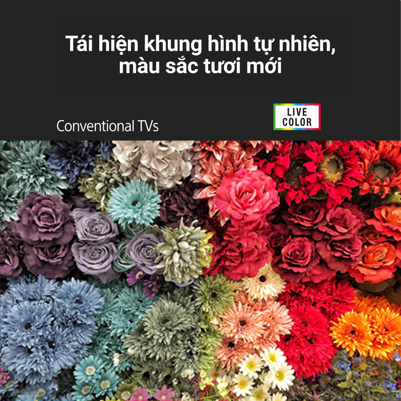 Hình ảnh sắc nét với màu sắc tươi mới