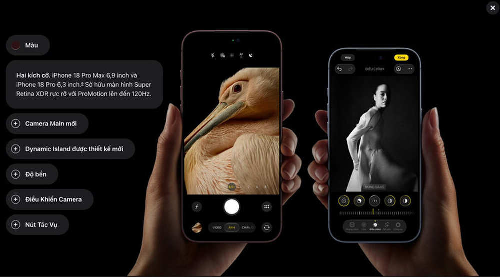 Hai kích cỡ màn hình linh hoạt của iPhone 18 series