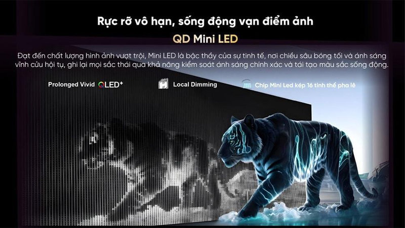 Màn hình tivi Coocaa 55 inch hiển thị màu sắc rực rỡ và tinh khiết nhờ công nghệ QLED và QD-MiniLED