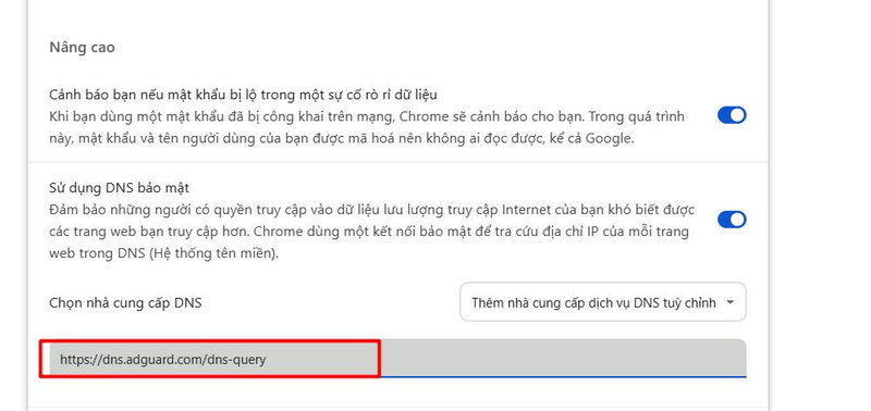 Nhập địa chỉ DNS