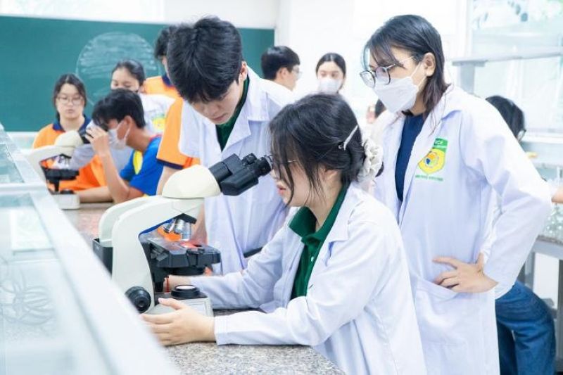 Nhóm ngành nghiên cứu khóa học dành cho những người thích nghiên cứu sâu