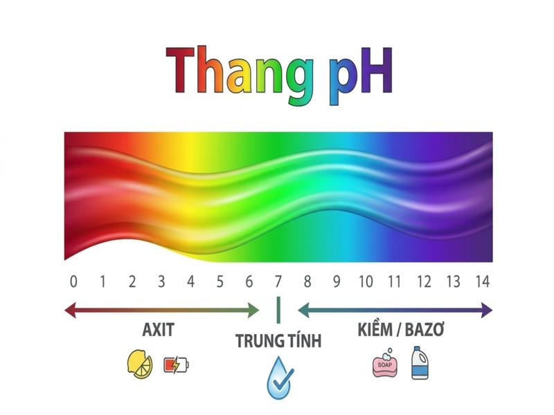 Nước kiềm pH 8.5-9.5 dùng để uống trực tiếp, còn pH trên 10 chỉ nên dùng để rửa rau củ