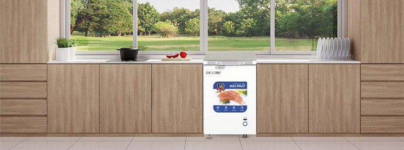 Tủ đông 1 cửa Hòa Phát
