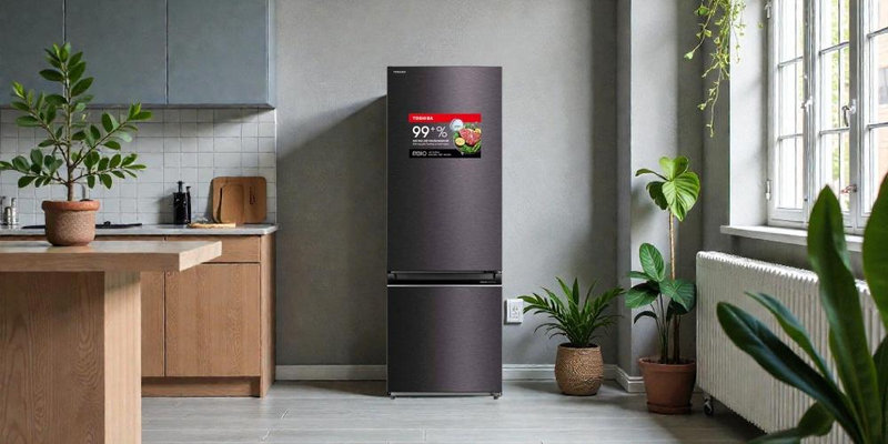 Tủ lạnh 2 cánh ngăn đá dưới hiện đại cải tiến trải nghiệm công thái học
