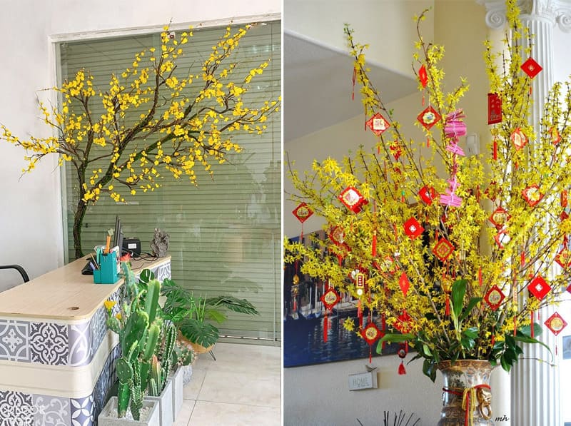 Trang trí văn phòng bằng hoa mai